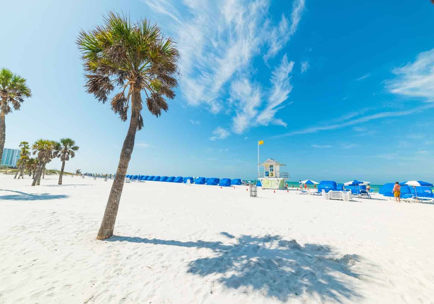 Clearwater Beach white sand and palm trees